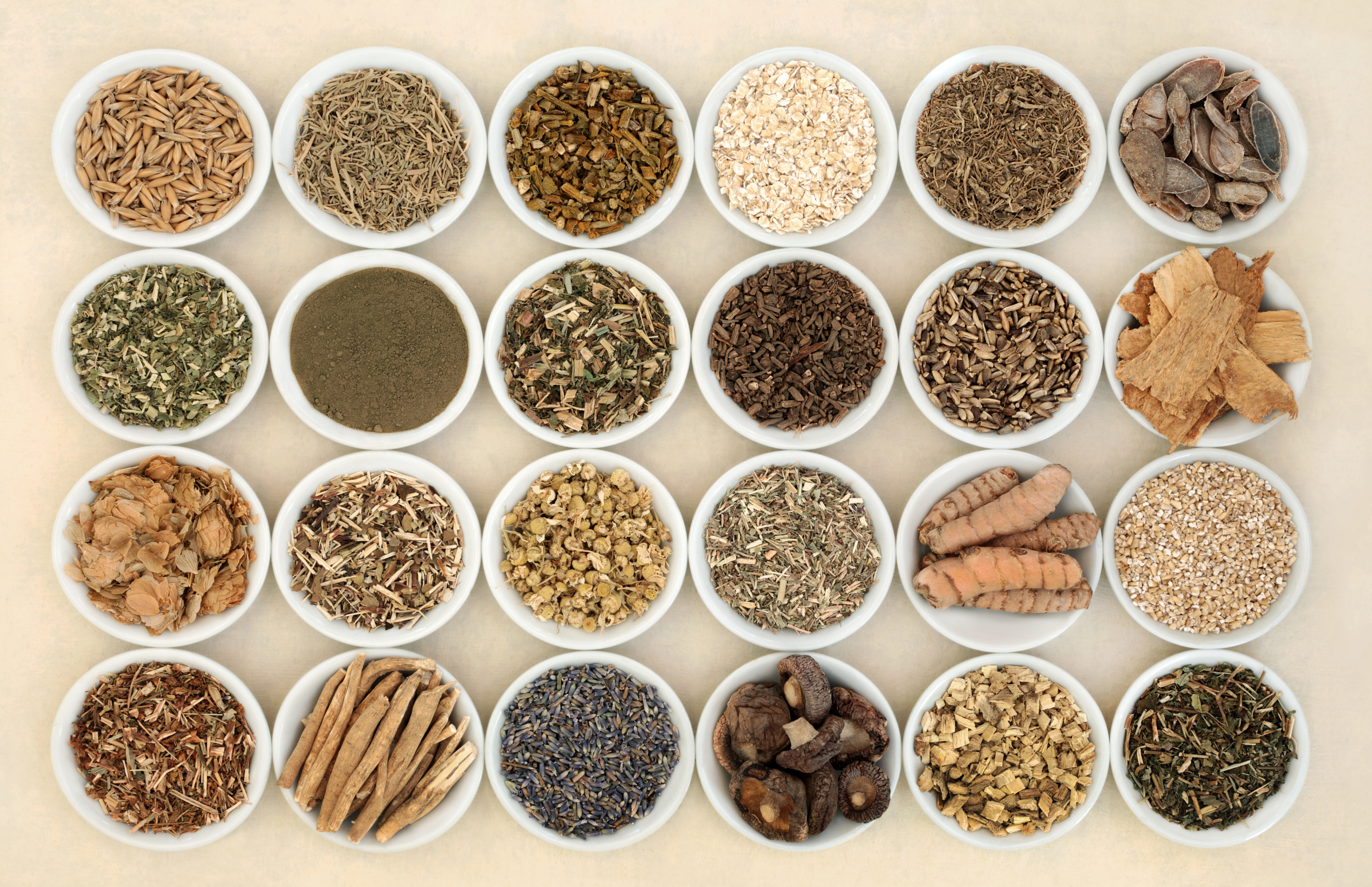 What Are Adaptogens? (and why you should add them to your wellness routine)