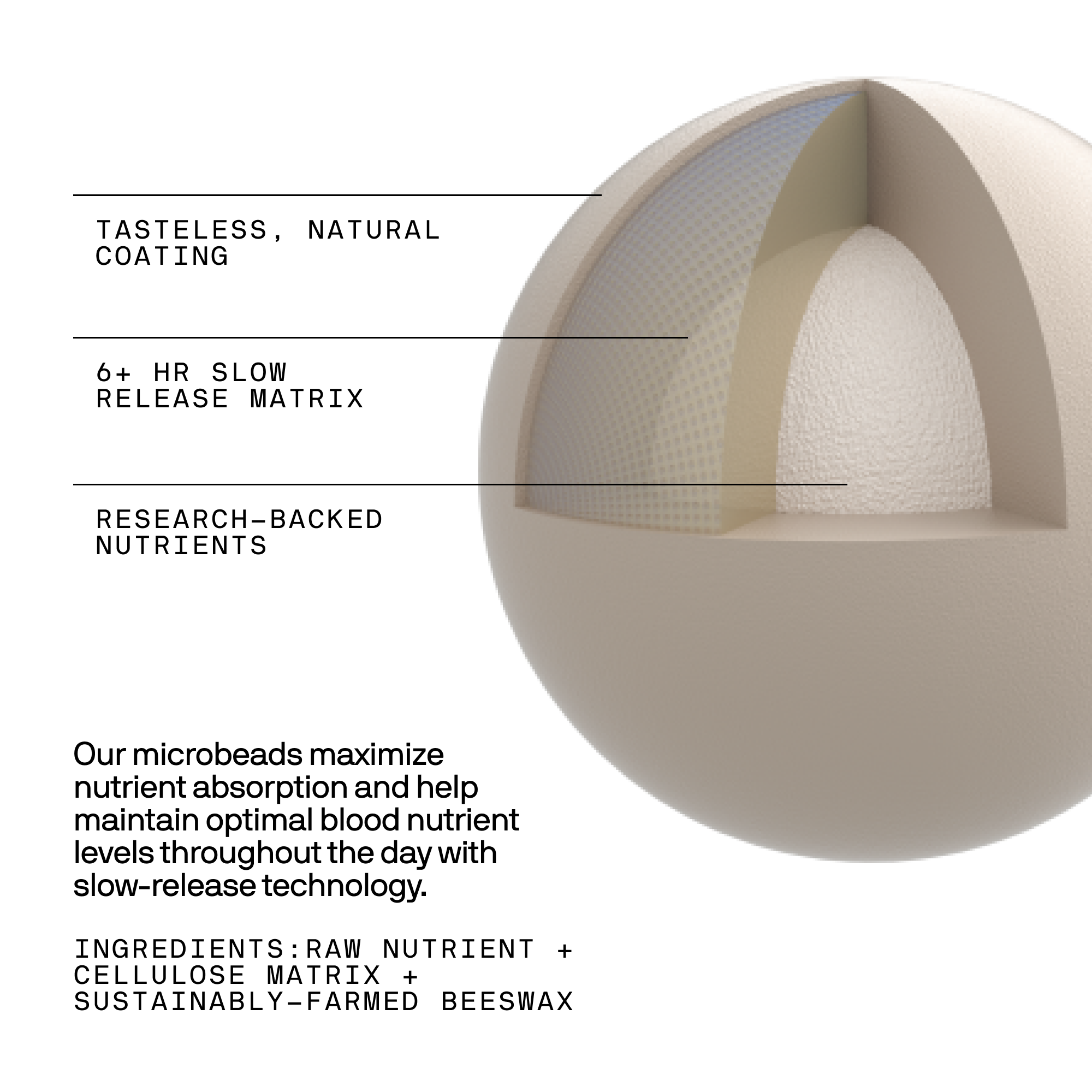 Microbead anatomy details